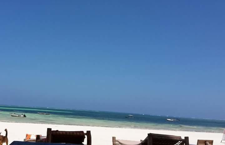 Sipano Beach Lodge Kiwengwa Kültér fotó