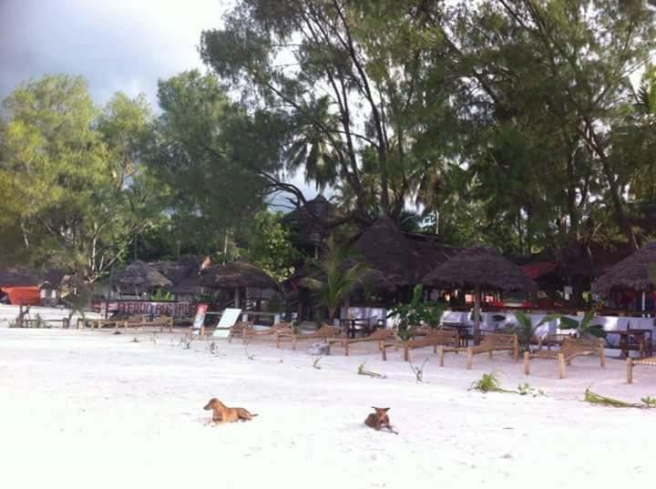 Sipano Beach Lodge Kiwengwa Kültér fotó