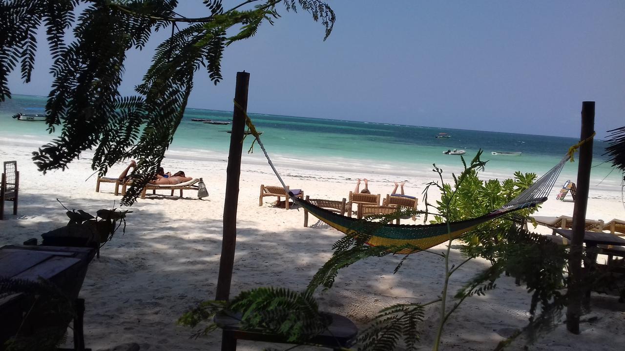 Sipano Beach Lodge Kiwengwa Kültér fotó
